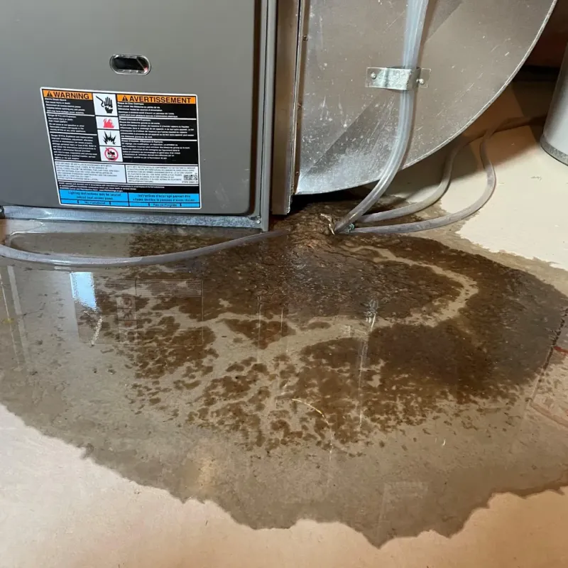 Appliance Leak Cleanup in Cecil-Bishop, PA